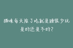 猫咪每天除了吃就是睡很少玩是好还是不好？