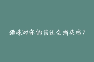 猫咪对你的信任会消失吗？