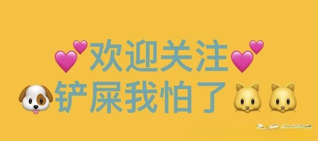 养猫怎么保持家里干净？