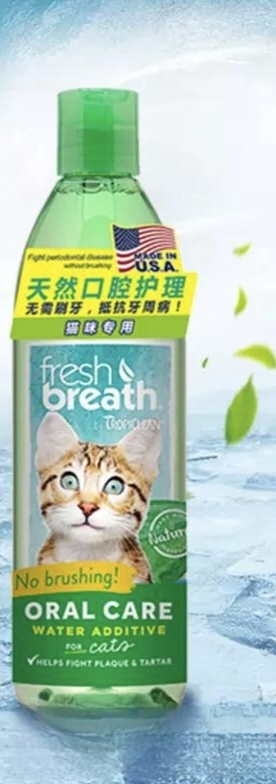 如何清除猫咪的牙结石？