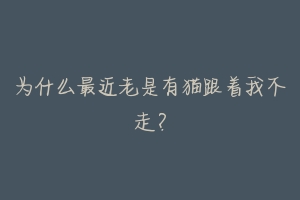 为什么最近老是有猫跟着我不走？