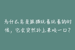 为什么总是跟猫玩着玩着的时候，它会突然扑上来咬一口？