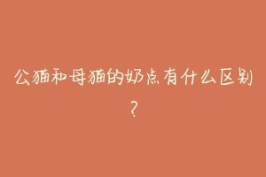 公猫和母猫的奶点有什么区别？