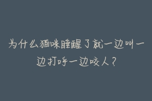 为什么猫咪睡醒了就一边叫一边打呼一边咬人？