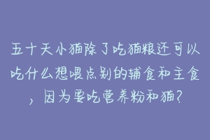 五十天小猫除了吃猫粮还可以吃什么想喂点别的辅食和主食，因为要吃营养粉和猫？