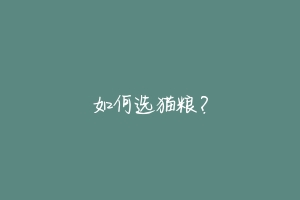 如何选猫粮？