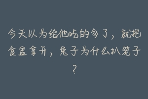 今天以为给他吃的多了，就把食盆拿开，兔子为什么扒笼子？