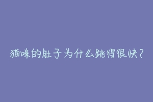 猫咪的肚子为什么跳得很快？