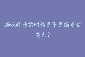 猫咪怀孕的时候是不是饭量会变大？