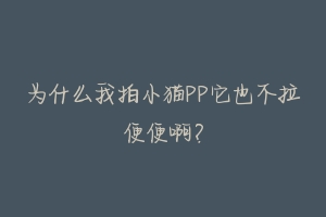 为什么我拍小猫PP它也不拉便便啊？