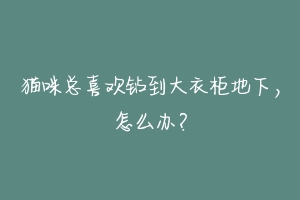 猫咪总喜欢钻到大衣柜地下，怎么办？