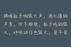 猫咪肚子响很大声，消化道的声音，但不排便，肚子吃的很大，呼吸动作也很大，是不是得了什么病？