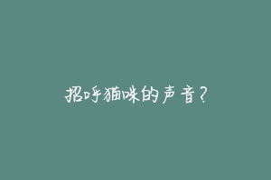 招呼猫咪的声音？