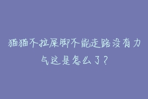 猫猫不拉屎脚不能走路没有力气这是怎么了？