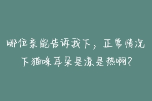 哪位亲能告诉我下，正常情况下猫咪耳朵是凉是热啊？