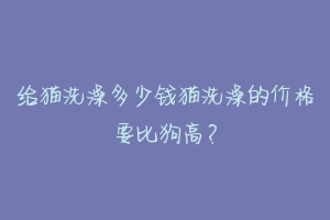 给猫洗澡多少钱猫洗澡的价格要比狗高？