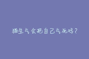 猫生气会把自己气死吗？