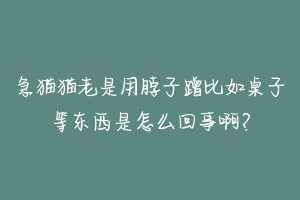 急猫猫老是用脖子蹭比如桌子等东西是怎么回事啊？