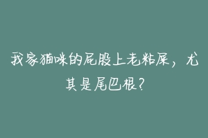 我家猫咪的屁股上老粘屎，尤其是尾巴根？