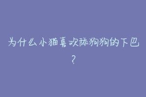 为什么小猫喜欢舔狗狗的下巴？