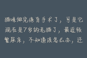 猫咪做完绝育手术了，可是它现在是7岁的老猫了，最近频繁尿床，不知道该怎么办，还请高手指点？