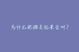 为什么把猫关起来会叫？