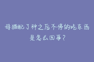 母猫配了种之后不停的吃东西是怎么回事？