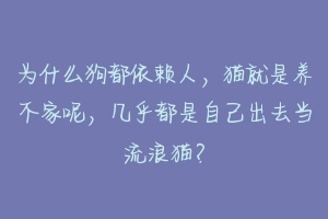 为什么狗都依赖人，猫就是养不家呢，几乎都是自己出去当流浪猫？