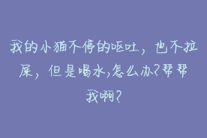 我的小猫不停的呕吐，也不拉屎，但是喝水,怎么办?帮帮我啊？