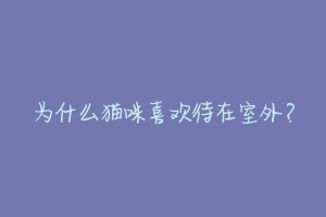 为什么猫咪喜欢待在室外？