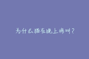 为什么猫在晚上惨叫？