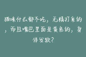 猫咪什么都不吃，无精打采的，而且嘴巴里面是黄色的，身体发软？