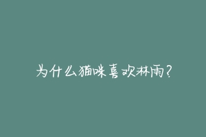 为什么猫咪喜欢淋雨？