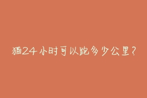 猫24小时可以跑多少公里？