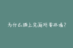 为什么猫上完厕所要抓墙？