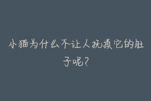 小猫为什么不让人抚摸它的肚子呢？