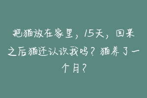 把猫放在家里，15天，回来之后猫还认识我吗？猫养了一个月？