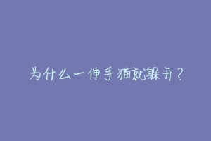 为什么一伸手猫就躲开？