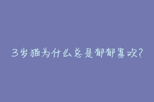 3岁猫为什么总是郁郁寡欢？