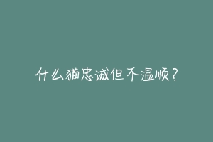 什么猫忠诚但不温顺？