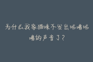 为什么我家猫咪不发出咕噜咕噜的声音了？