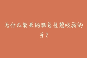 为什么新来的猫总是想咬我的手？