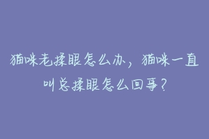 猫咪老揉眼怎么办，猫咪一直叫总揉眼怎么回事？