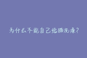 为什么不能自己给猫洗澡？