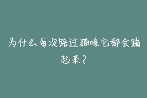 为什么每次路过猫咪它都会蹦起来？