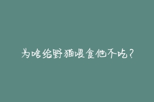 为啥给野猫喂食他不吃？