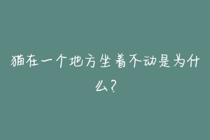 猫在一个地方坐着不动是为什么？