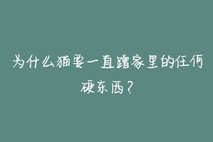 为什么猫要一直蹭家里的任何硬东西？