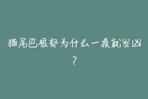 猫尾巴根部为什么一摸就发凶？