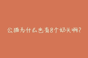 公猫为什么也有8个奶头啊？